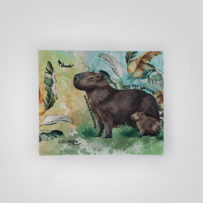 Pañitos para limpiar tus lentes