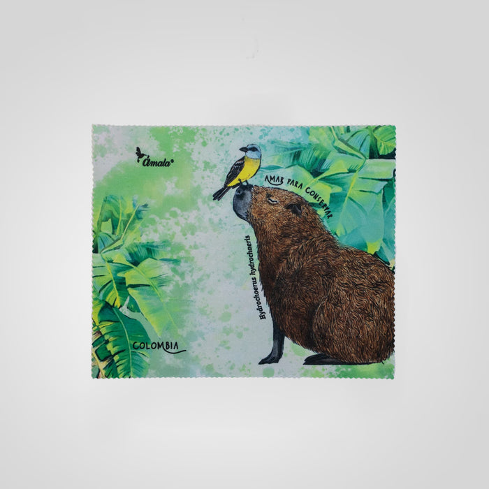 Pañitos para limpiar tus lentes