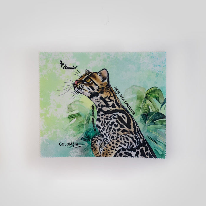 Pañitos para limpiar tus lentes