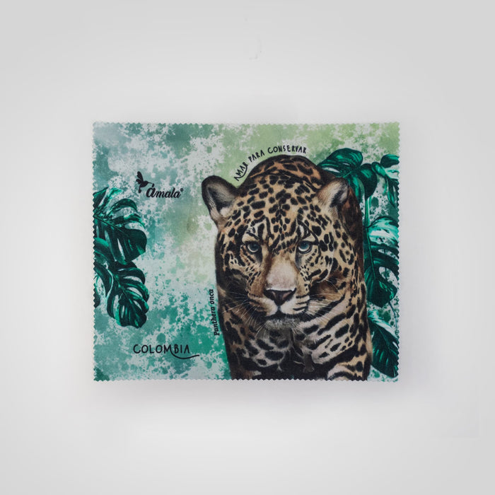 Pañitos para limpiar tus lentes