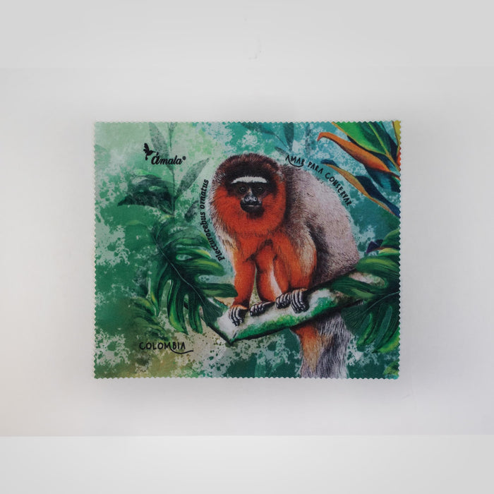 Pañitos para limpiar tus lentes