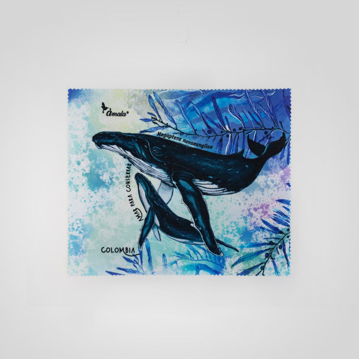 Pañitos para limpiar tus lentes