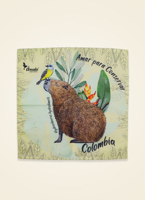 Toallita para rostro